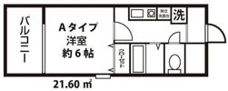 ドミールCity川口の間取り画像