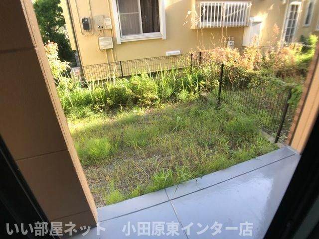 庭