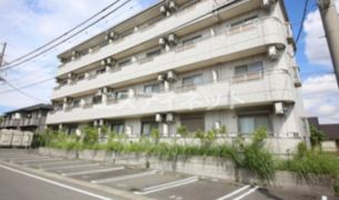 youngleavesの外観画像