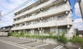youngleavesの間取り画像