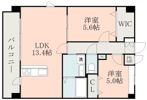 SpringCourt近見の間取り画像