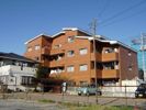 ジュネス桜田の間取り画像