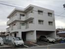 ドルフ本地の間取り画像