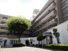グリーンヒル恵比寿の間取り画像