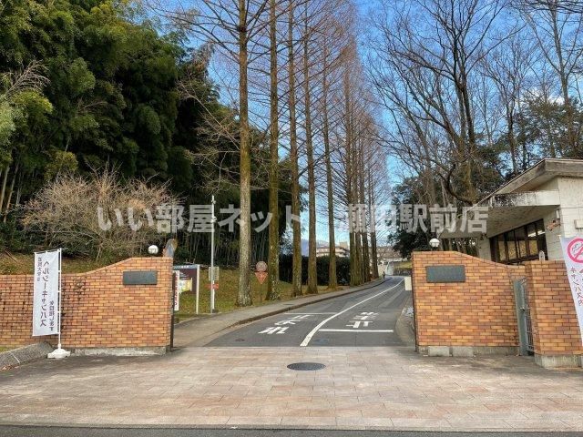 近くに施設あり
