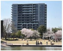 レーベン富山環水公園TERRACE FORTの外観画像