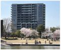 レーベン富山環水公園TERRACE FORTの間取り画像