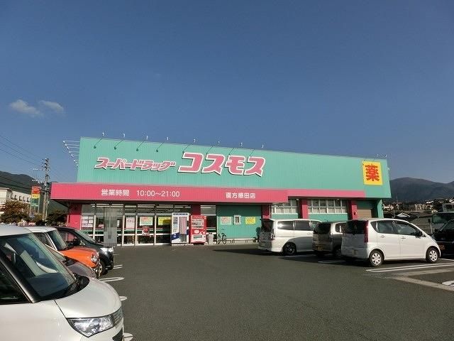 ディスカウントドラッグコスモス直方感田店(1100m)
