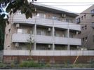 グレーシア上石神井の間取り画像