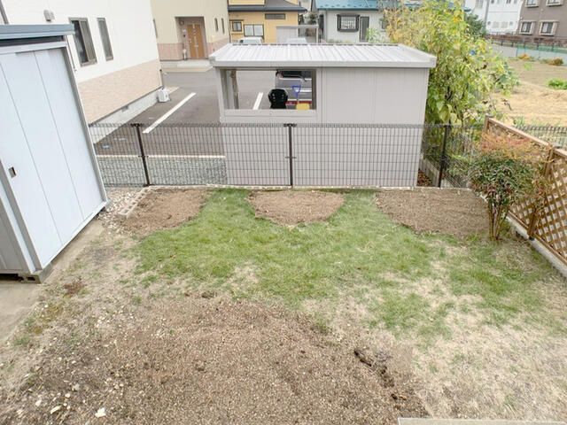 庭