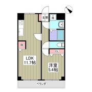 折井コーポの間取り画像