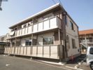 Lindenbaumの間取り画像