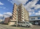 グラシオッソグランデ空港東の間取り画像