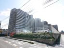クエストコート中井1512号室の間取り画像