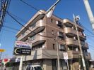 ラルスマロンの間取り画像