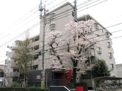 エスパシオ・カメリアの外観画像
