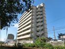 パラシオ二島の間取り画像