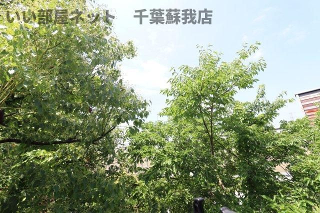 眺望