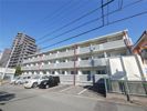 ランセル浅川の間取り画像