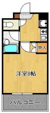 ベルガ菅原の間取り画像