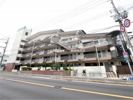 佐井寺ハイツの間取り画像