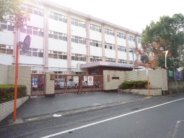 医生丘小学校(960m)