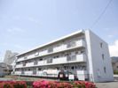 TSビルの間取り画像