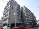 リーセント春町の間取り画像