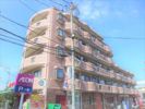 ベルフレール玉川の間取り画像