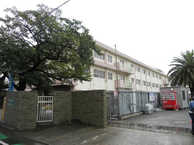 筒井小学校(150m)