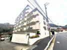 ハイツ六甲の間取り画像