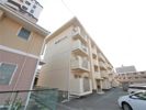 富士見サンハイツの間取り画像