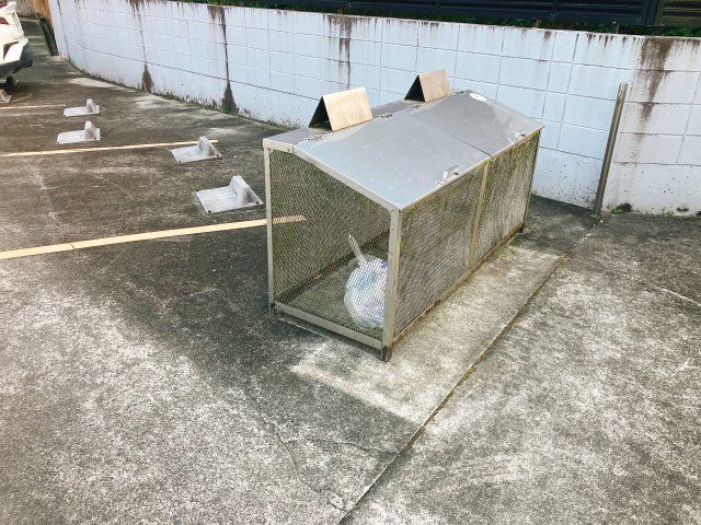 庭