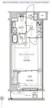 ベルシードアルファ押上イーストの間取り画像