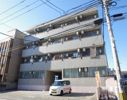 クロノス15月出の間取り画像