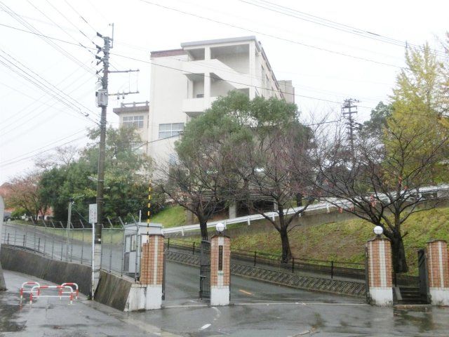 自由ケ丘高校(370m)