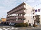 ソレアードの間取り画像