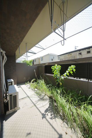 庭