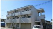 キャピタル志波町の間取り画像