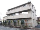 グラシューズ市川の間取り画像