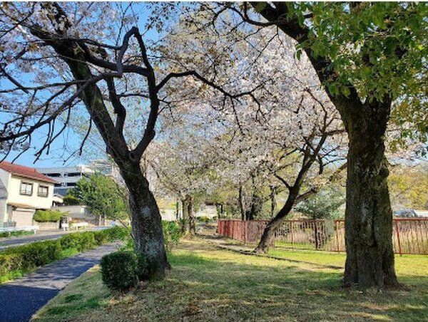 近くに施設あり