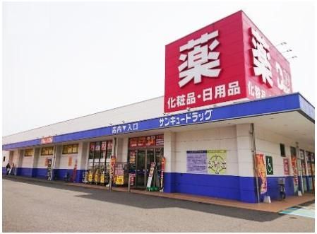 サンキュードラッグ沼南町店(990m)