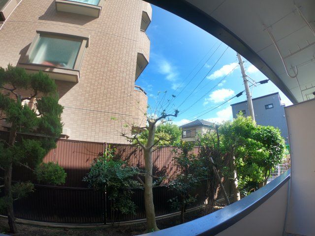 眺望