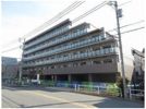 パティーナ東武練馬の間取り画像