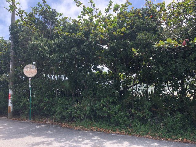 近くに施設あり