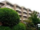 テラス新宿の間取り画像