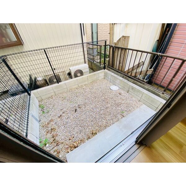 庭