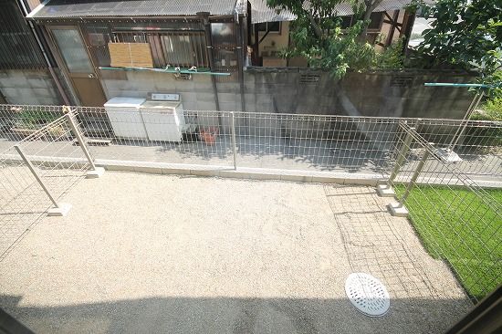 庭