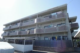 パディーフィールド21の外観画像
