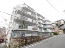 ホワイトパレス枝光 201号室の間取り画像